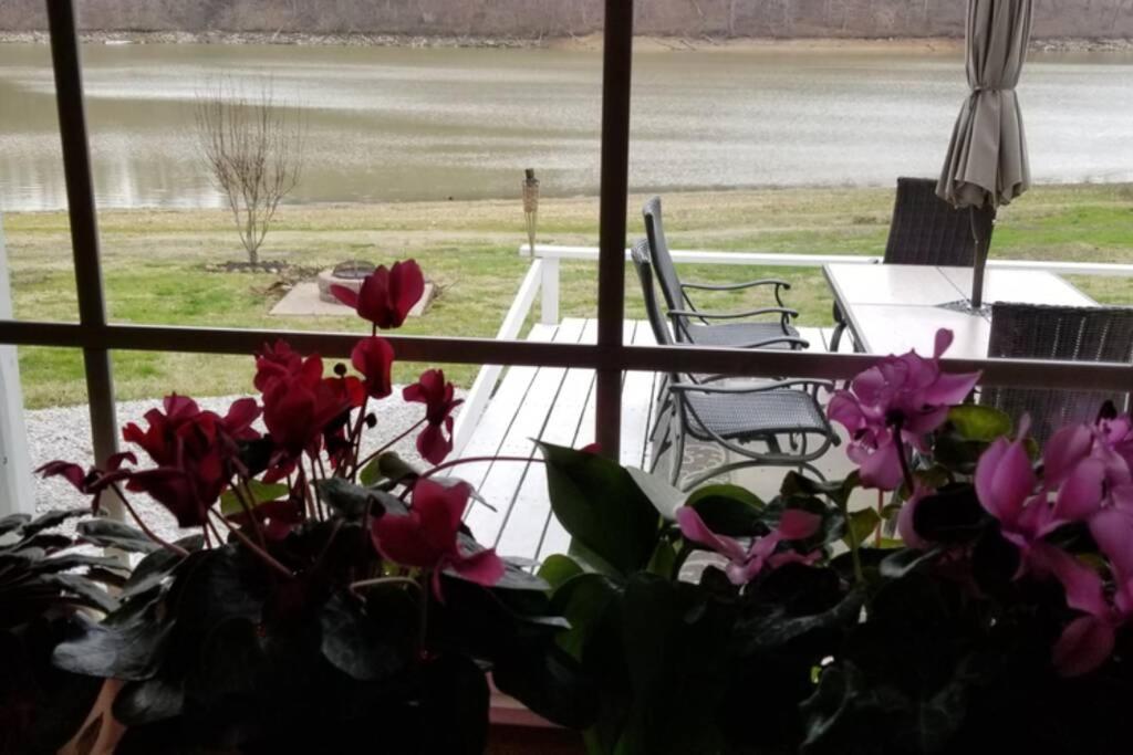 Lakehouse Has Spectacular View Plus Easy Access! Rogers Buitenkant foto