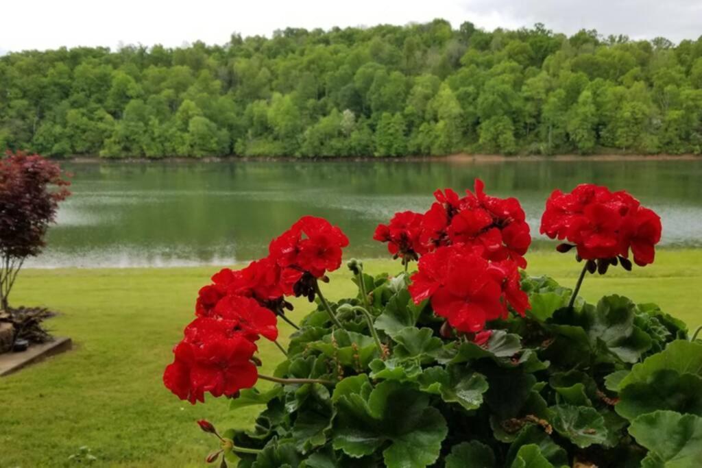 Lakehouse Has Spectacular View Plus Easy Access! Rogers Buitenkant foto