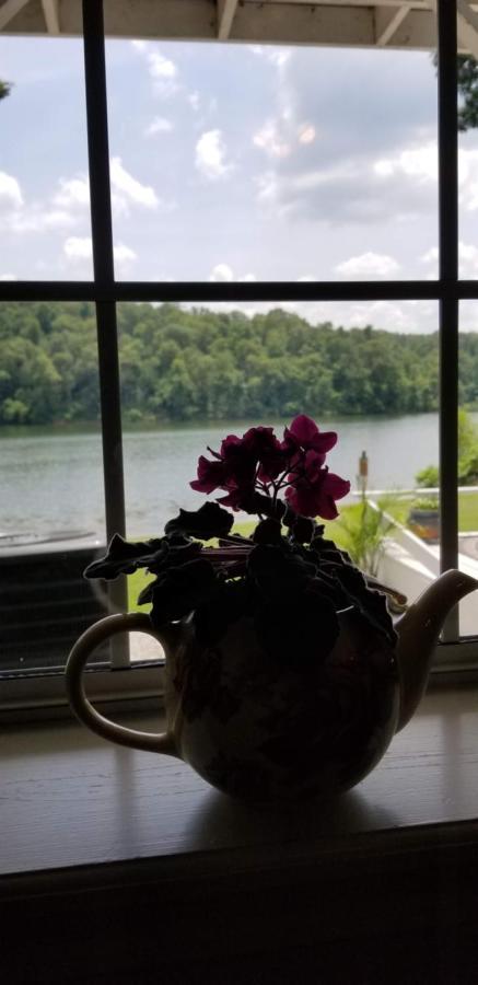 Lakehouse Has Spectacular View Plus Easy Access! Rogers Buitenkant foto